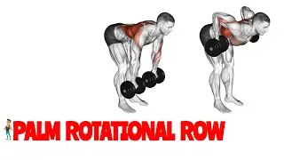 PALM ROTATIONAL ROW