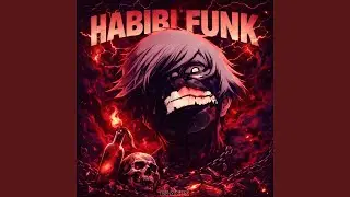 HABIBI FUNK