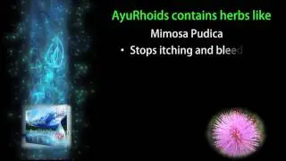 AYU RHOIDS