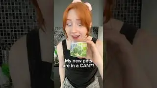 Japanese pet in a CAN🥫 #plantum