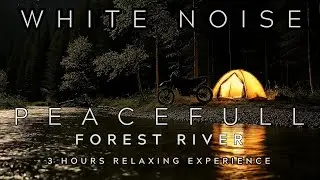 White Noise Forest River | Continuous Water Flow for Work & Concentration | ASMR | Closre to Nature