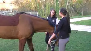 L'option équitation au Lycée Viticole de Beaune