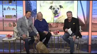 Ken Harrell and Kay Hyman Appear on Lowcountry Live to Promote Charleston Paw Project