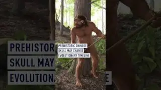 Prehistoric Chinese skull may change evolutionary timeline