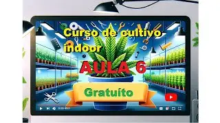 Aula 6 Est&aacute;gio de Flora&ccedil;&atilde;o da CaNNABIS Curso de Cultivo Indoor Gratuito