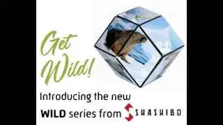 Get WILD with the NEW Shashibo designs!!-- the WILD series! #wild #shashibo #puzzle #artcubes