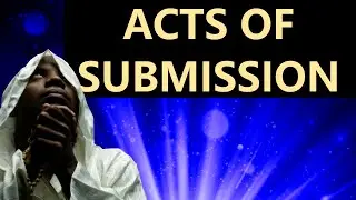 MUSLIM BELIEFS AND VALUES: Is Imaan/belief enough? Acts of submission | Study the truth in the Quran