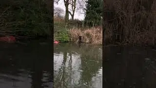 My float was stuck and he says il go and get it for you