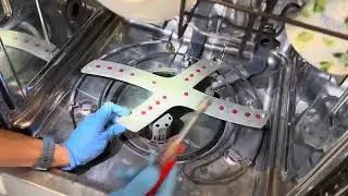 Hidden mold in every dishwasher | Know & remove