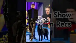 Модные обзоры с Национальной выставки собак 😁🐩 #мода #обзор #собаки
