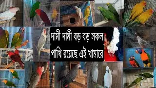 সব থেকে বড় বড় পাখির কালেকশন আছে এই খামারে../#birds #parrot #pets #মিরপুর_পাখির_হাট #sell #viralvideo