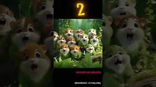 Hamsters... How many...? Are you fast? We will check it daily ...