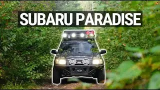 Почему каждому владельцу Subaru НУЖНО ездить по дорогам Британской Колумбии
