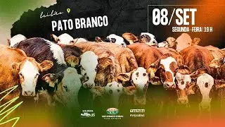 Leil&atilde;o de Gado Geral em Pato Branco 08/09/2025 | SRPB
