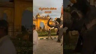 Mysore Dasara 2025 #mysuru #dasara2025 #mysurudasara2025 #festival