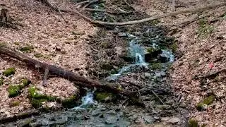 DJI Spark Veever&rsquo;s Falls City Of Waterfalls Drone Footage 01/15/2020