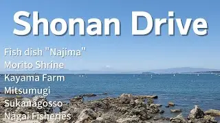 【Shonan Drive】