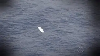 Sinking debris from plane crash near Jamaica deepens mystery