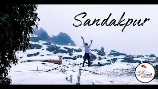Sandakpur I Yatra Holidays II 2020