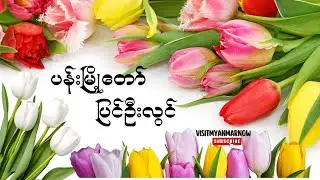 The most beautiful of the cool flower city, Pyin Oo Lwin