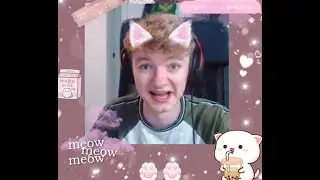 Try not to laugh or smile | Dream Smp TikTok edition