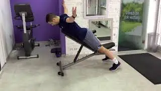YTWL row BENCH - Smart Fitness Novi Beograd