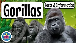 All About Gorillas for Kids 🦍 | Fun Gorilla Facts and Information