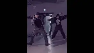 Howl and Bada Lee dancing to 'Sexy Nukim' by Balming Tiger feat. RM #rm #badalee #howl #sexynukim
