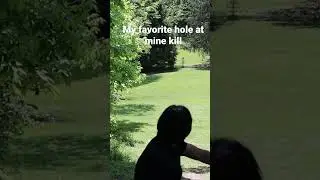The coolest hole at mine kill #discgolf #adkdiscs #adk #views #trees #nature #woods
