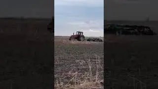 Дискуем суданскую траву 2025