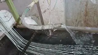Milky p p ka dhana machine