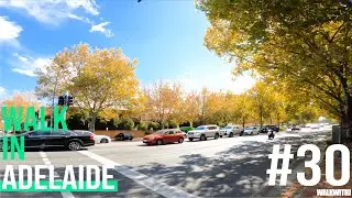 ⁴ᴷ⁶⁰ Adelaide City walk - Rymill Park & King Rodney Park  #30