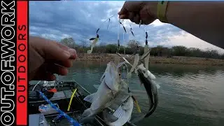 Clear Umbrella Rig take down White Bass Spawning run 2023 - OOW Outdoors
