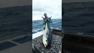 P&ecirc;che au large &agrave; Tahiti pendant la temp&ecirc;te 🎣🌪️ #Peche #Tahiti #vlog