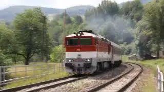 754.004-0 halad Div&eacute;nyoroszin&aacute;l (Podkriv&aacute;ň)