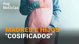 GESTACIÓN SUBROGADA: El TRIBUNAL SUPREMO considera que VULNERA los DERECHOS de madre e hijo | RTVE