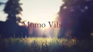 Momo Vibes