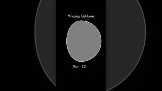 Phases of the Moon - New, Half and Full Moon, Waxing and Waning Crescent, Waxing and Waning Gibbous