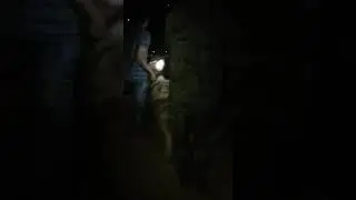 Hyena Rescue From Alwar City by Wildlife India Official