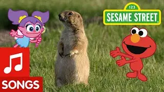 Sesame Street: Dance Like a Prairie Dog! | Animal Dance #6