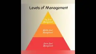 Levels Of Management | Class 12th | NCERT #education #management #businessstudies #educationshorts