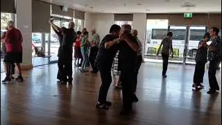 DIAMOND QUICKSTEP walkthrough by Albert & Nancy Oh.
