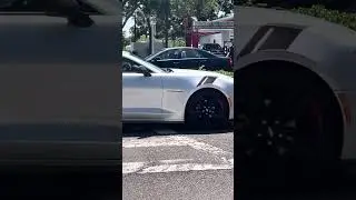 St Pete police push elderly woman&rsquo;s car off US19