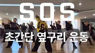 SOS_La Bouche/초간단 옆구리 살빼기/ 홈트운동/기초운동/low_impact/mj댄싱스쿨/2부 수업영상/동래구체조협회 