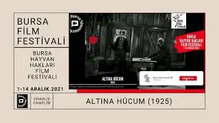 Bursa Film Festivali 7.G&uuml;n / 7 Aralık 2021