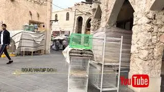 Souq Waqif Pets & Animal Market in Doha, Qatar 2019
