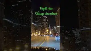 Night view Chicago downtown! || Joy&Tanni