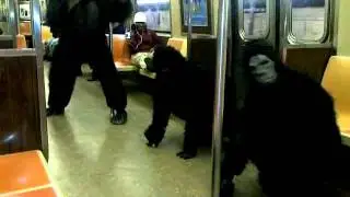 VID-20111031-00002