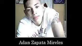 hoy brindare porty adan zapata  instrumental (coros)