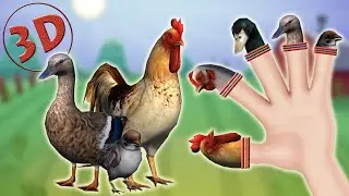 3D Farm Birds Finger Family Song | 3D Daddy Finger Animal Nursery Rhyme for Children